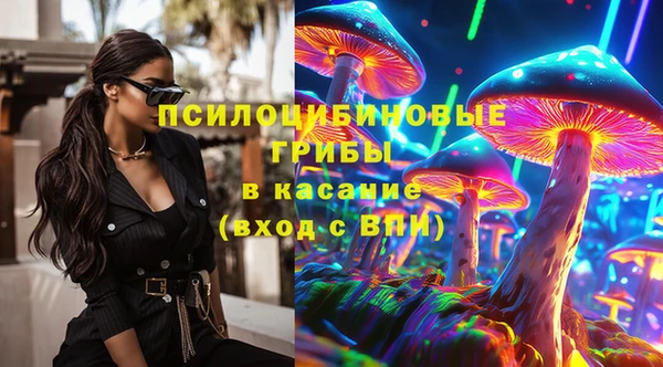 не бодяженный Арсеньев