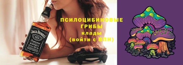 бутират Снежногорск