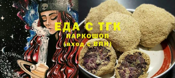 шишки Слюдянка