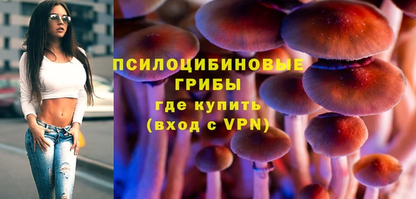 бутират Снежногорск