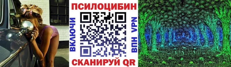 гидра вход  купить   Баймак  Галлюциногенные грибы Magic Shrooms 